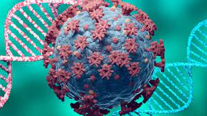 The union health ministry on tuesday categorised the delta plus variant of the novel coronavirus, so far detected in three states in the country, as a 'variant of. New Covid 19 Variant Delta Plus Identified Is It A Concern For India Deccan Herald