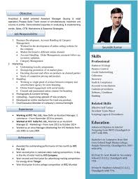 Professional Experience Resume Format   Free Resume Example And     Resume   Free Resume Templates CV    CV template