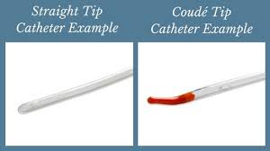 Catheters 101 The Basic Components Of Your Intermittent
