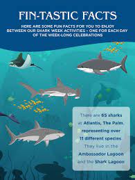 6 jaw some atlantis shark week facts