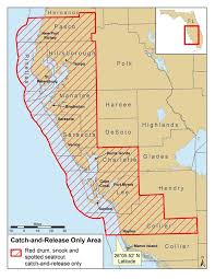 Fwc Extends Catch And Release Until May 2020 Due To Red Tide