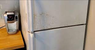 refrigerator here s how to repair
