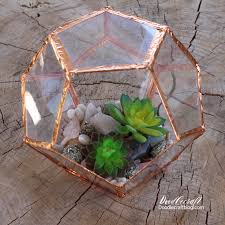 Geometric Succulent Terrarium Diy