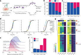 sars cov 2 uses a multiged strategy