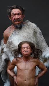 Forensic reconstruction by the Kennis brothers of a neanderthal man and his  son who lived in Europe about 50,000 years ago. They use ancient skulls  found by archaeologists and layer clay over