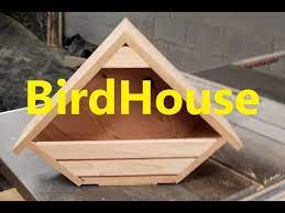 Work Bird House Build