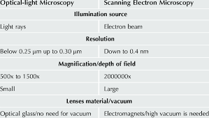 optical and electron microscopy