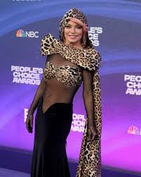 shania twain matches her that don t