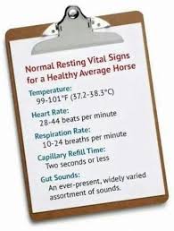 Image Result For Horse Vital Signs Chart Horse Care