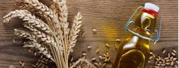 Wheat germ oil is produced by cold pressing wheat germ. Nutrition Benefits Of Wheat Germ Holland Barrett