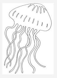 Are there any jellyfish that are poisonous to humans? Giant Jellyfish Coloring Page Coloring Pages Sea Quilt Ocean Crafts