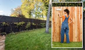 Best Colours To Paint Garden Fences