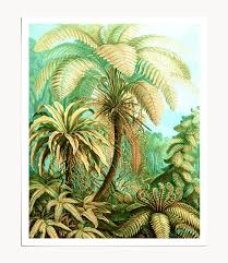 Vintage Tropical Art Print 83