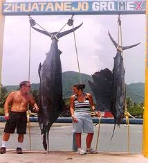 Zihuatanejo Sportfishing Charters In Ixtapa Zihuatanejo