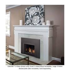 Glass Direct Vent Gas Fireplace Insert