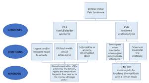 chronic pelvic pain syndrome cpps