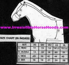 Horse Sleazy Size Chart Google Search Horse Pattern