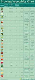 Guidelines For Growing Vegetables Chart Vegetable Garden