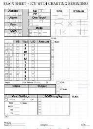 Nurse Brain Sheets Icu With Charting Reminders Scrubs