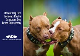 dog bite law and controversial dog breeds