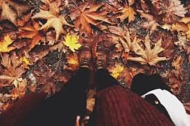 Image result for autumn tumblr
