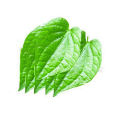 betel leaves vethalai 6 pcs smaart