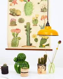 Cavallini Cacti Succulents Vintage School Chart