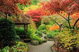 Oriental Plants For A Japanese Garden