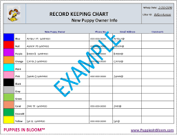 Puppies In Bloom Color Coordinated Breeder Record Keeping Charts