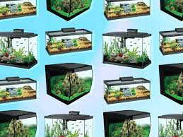 The 5 Best Fish Tanks in 2022 gambar png
