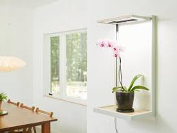 Incandescent bulbs cost just a few dollars and are the cheapest option. Plant Grow Lights How To Choose The Best Indoor Lighting For Plants Hgtv