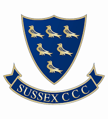 Image result for england county cricket
                        club logo