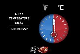 What Temperature Kills Bed Bugs Temperature Chart Pest