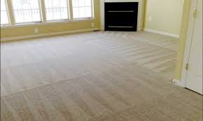 carpet cleaning professional cleaning
