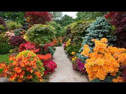 top 80 beautiful flower garden decor