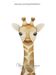 giraffe print safari nursery decor baby