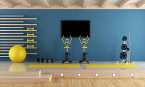 54 266 best gym wall images stock