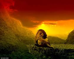 lion of judah rasta jah lion judah