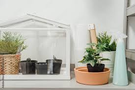 Miniature Green House Terrarium White