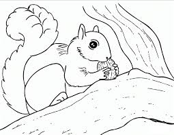 Coloring page outline of squirrel with mushroom. Free Printable Squirrel Coloring Pages For Kids Coloring Home