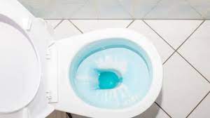 How To Get Rid Of Blue Toilet Water