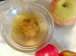 without chemicals diy fruit fly trap