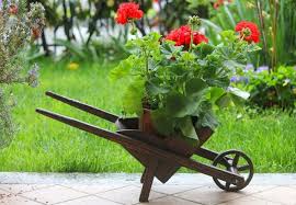 15 Amazing Wheelbarrow Planter Ideas
