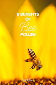 8 Benefits Of Bee Pollen Nutrition Facts And More
