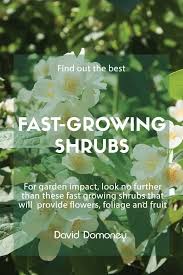 fast growing shrubs for instant garden
