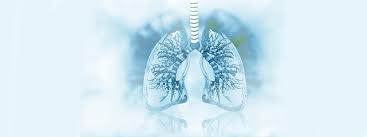 Copd, also known as chronic obstructive pulmonary disease, is a chronic lung condition in which the alveoli (air sacs) in your lungs no longer work properly, making it difficult to breathe. Atemwege Copd Debeka