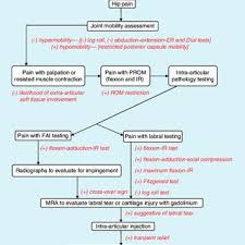 Hip Pain Differential Diagnosis Flow Chart Used In