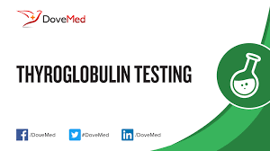 Thyroglobulin Tg Testing