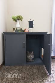 16 diy litter box enclosures you can