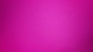 hot pink background images browse